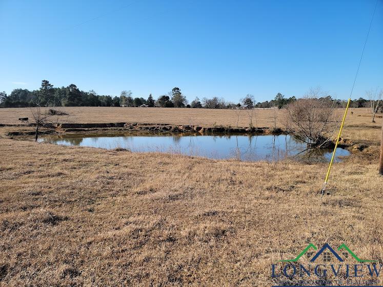 3372 Red Maple Road Big Sandy, TX 75755 - Photo 18 of 34 Gallery Image 18