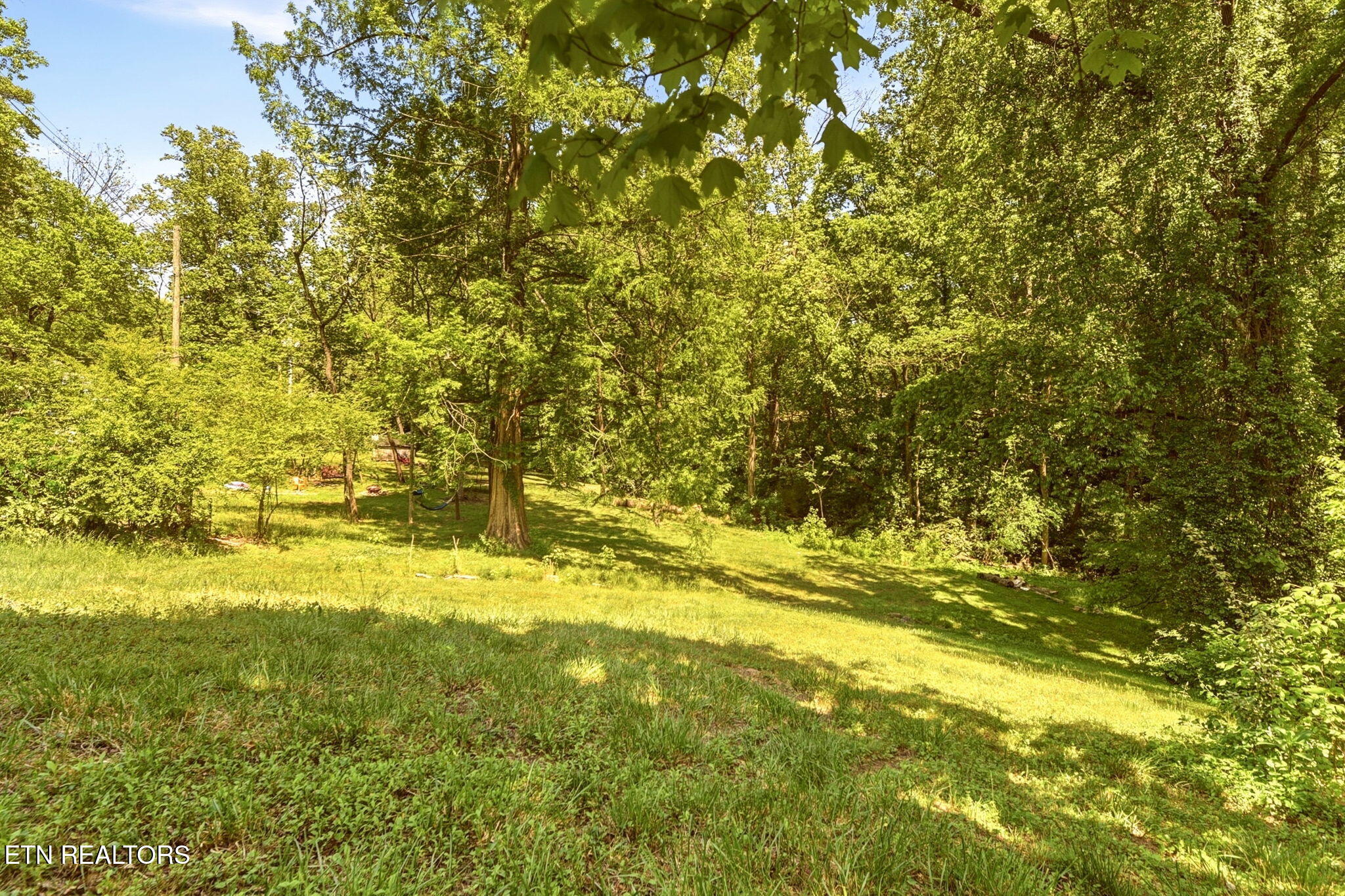 55 Dogwood Road Norris, TN 37828 - Photo 41 of 44 42-web-or-mls-DSC_4794