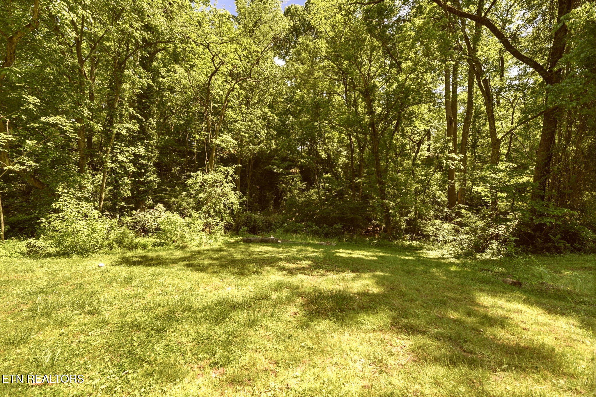 55 Dogwood Road Norris, TN 37828 - Photo 42 of 44 43-web-or-mls-DSC_4797