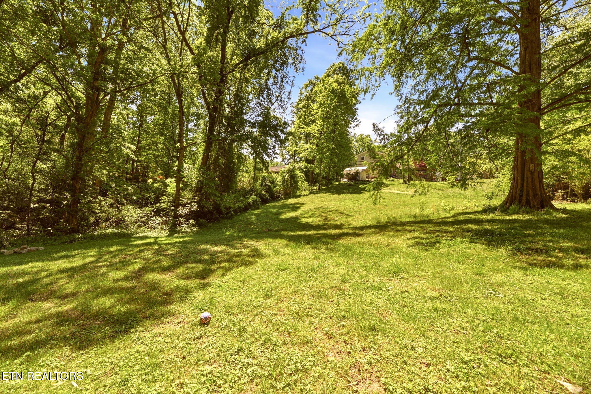 55 Dogwood Road Norris, TN 37828 - Photo 43 of 44 44-web-or-mls-DSC_4800