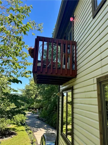 a view of a backyard with plants and large tree