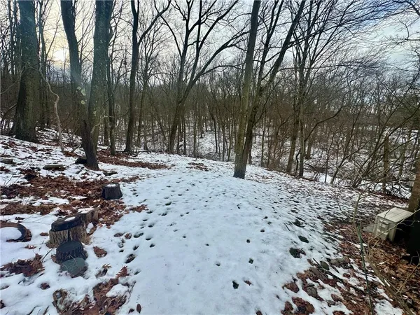 a view of a yard with trees