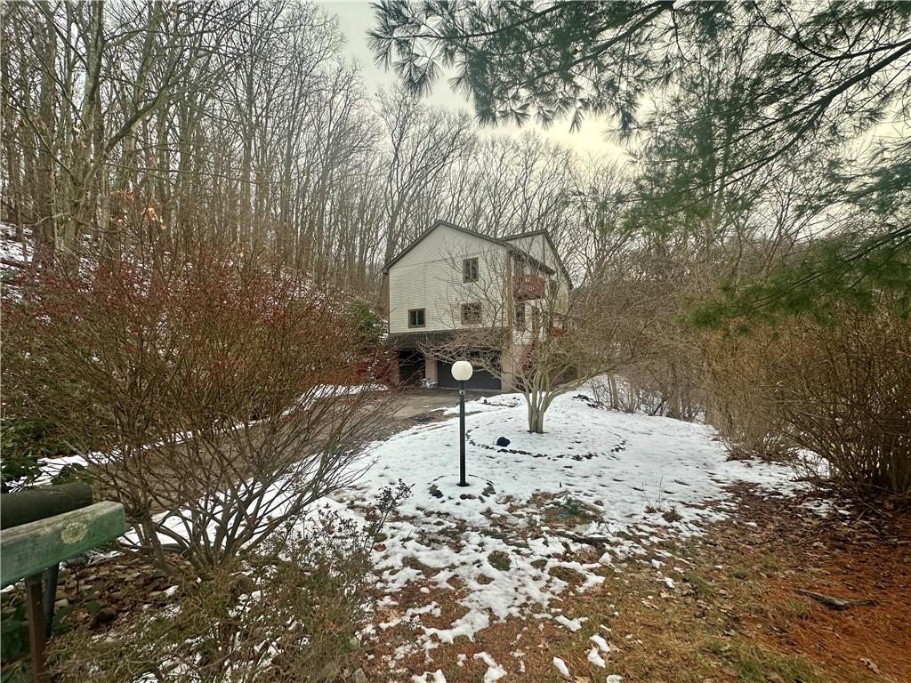 513 Sandra Lane Cheswick, PA 15024 - Photo 3 of 49 a large tree in the middle of a forest