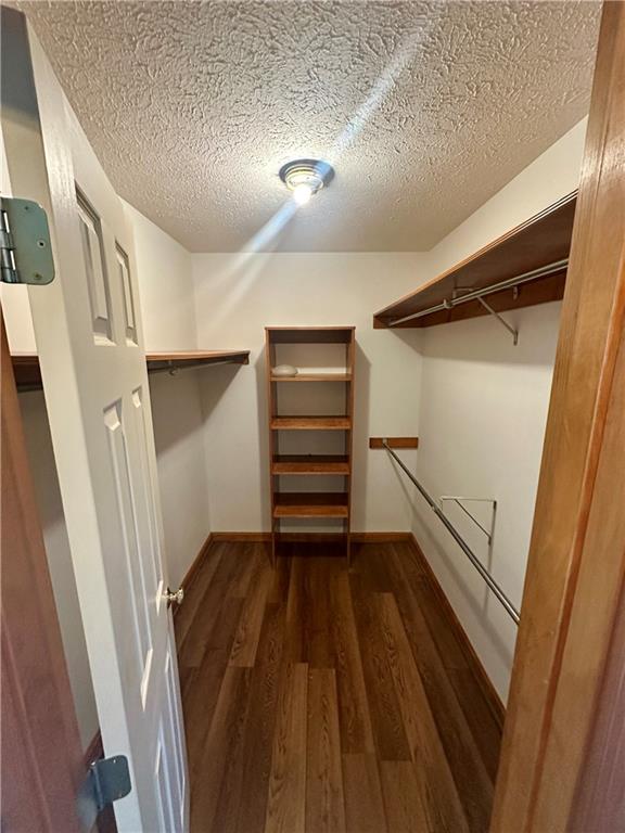 513 Sandra Lane Cheswick, PA 15024 - Photo 38 of 49 a view of walk in closet with empty racks