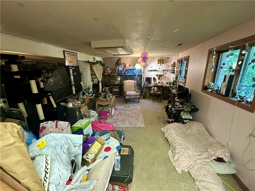 513 Sandra Lane Cheswick, PA 15024 - Photo 38 of 48