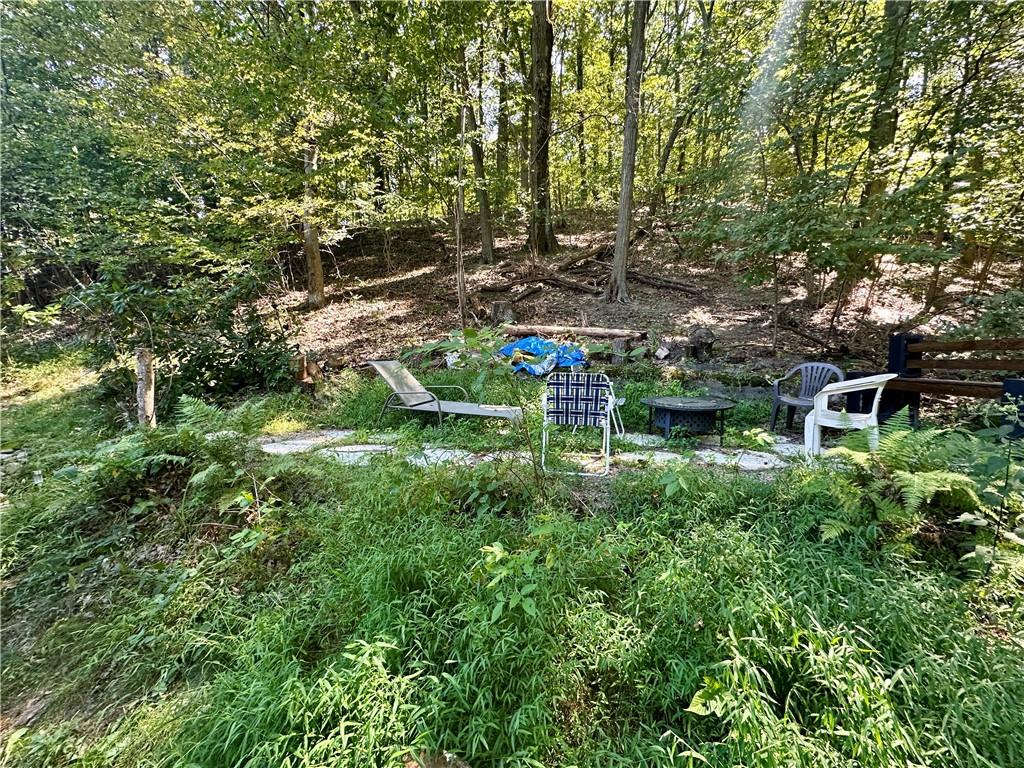 513 Sandra Lane Cheswick, PA 15024 - Photo 46 of 48 a backyard of a house with lots of green space and fountain