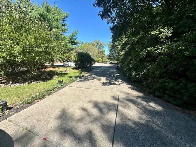 a view of a yard with plants and trees
