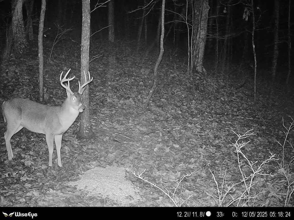 316 Armuchee Trail Northeast Rome, GA 30165 - Photo 9 of 45