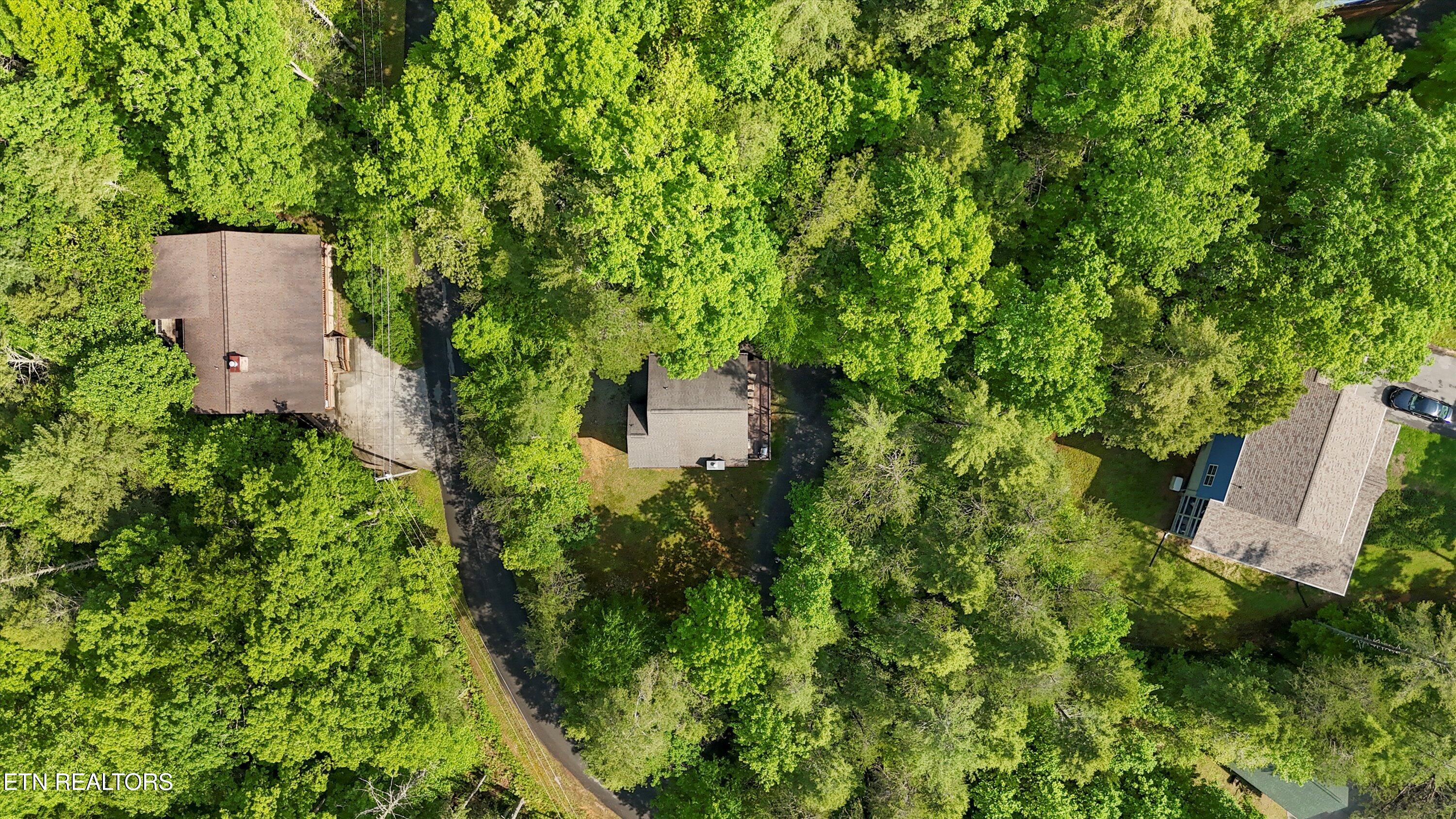 319 Rainbow Circle Townsend, TN 37882 - Photo 35 of 35 39-319 Rainbow Cir-44