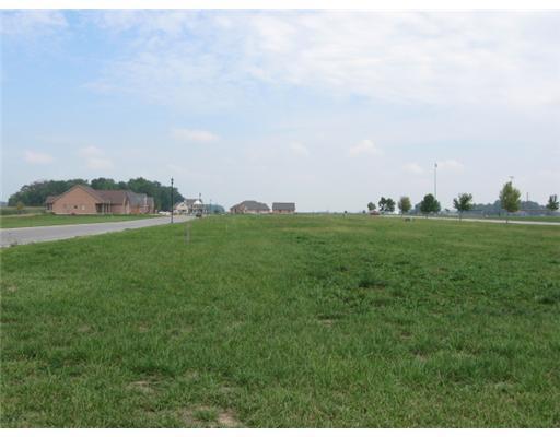 0 Line, Unit LOT 7 Minster, OH 45865 - Photo 7 of 7