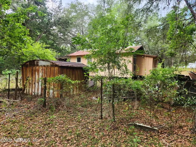 a backyard of a house with plants and large tree