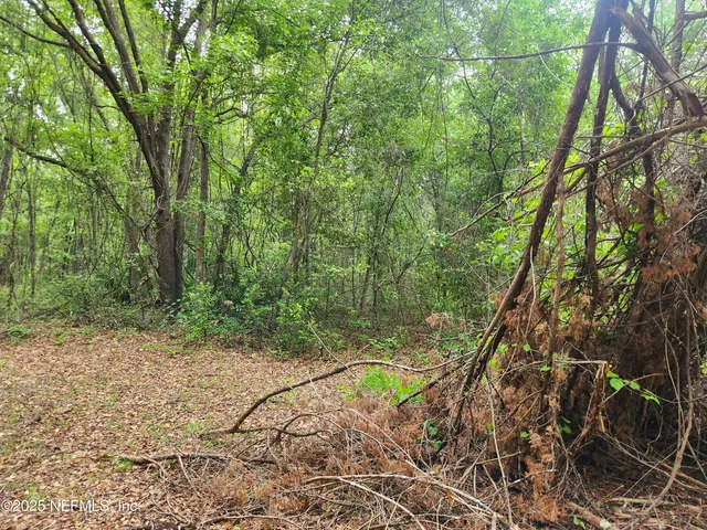 a view of a yard with a tree