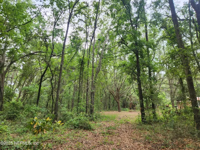 a view of outdoor space and trees