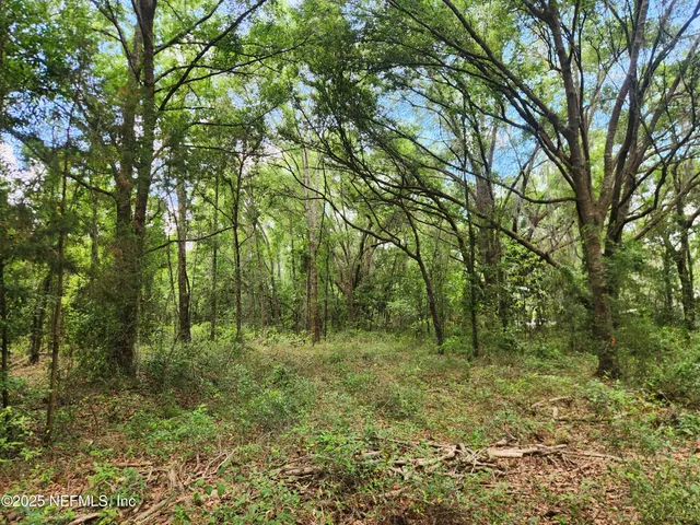 a big yard with lots of green space and deers