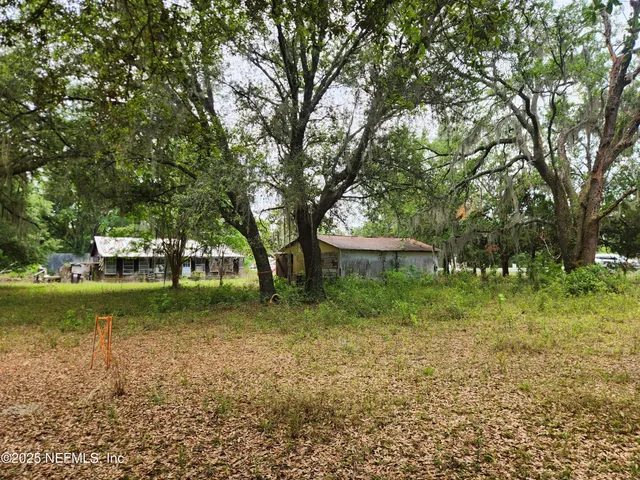 a view of backyard with trees
