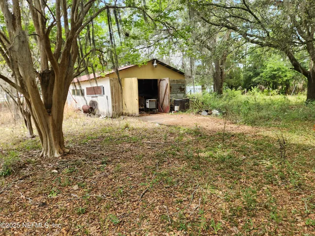 a dirt road with a large trees