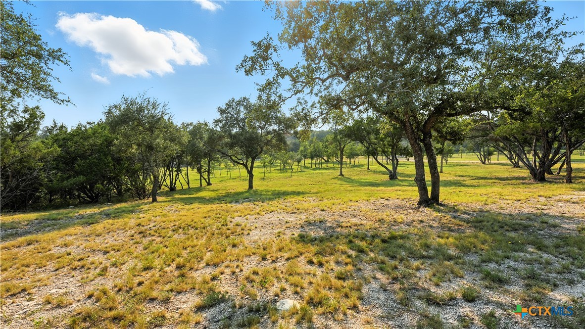 134 Stallion Estates Drive Spring Branch, TX 78070 - Photo 11 of 48 a view of yard with tree and trees