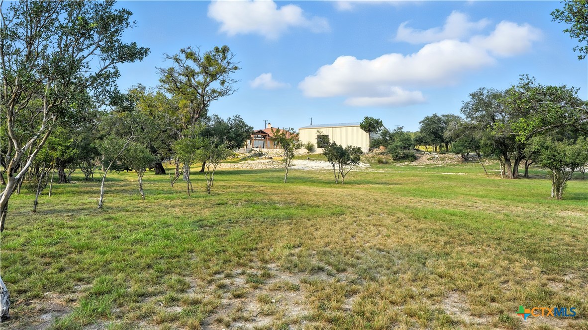 134 Stallion Estates Drive Spring Branch, TX 78070 - Photo 12 of 48 a view of a big yard with a large trees