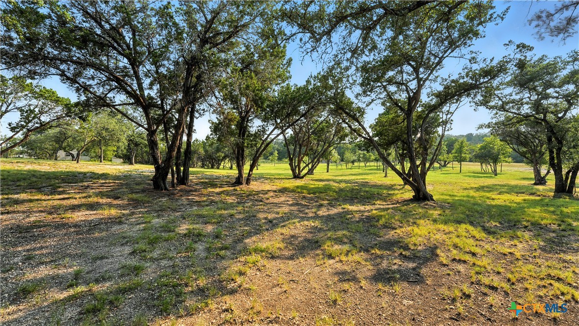 134 Stallion Estates Drive Spring Branch, TX 78070 - Photo 13 of 48 a view of yard with tree and trees