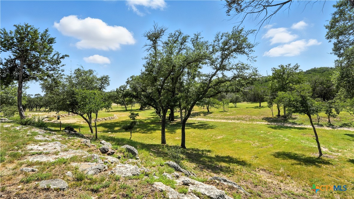 134 Stallion Estates Drive Spring Branch, TX 78070 - Photo 14 of 48 a view of yard with swimming pool