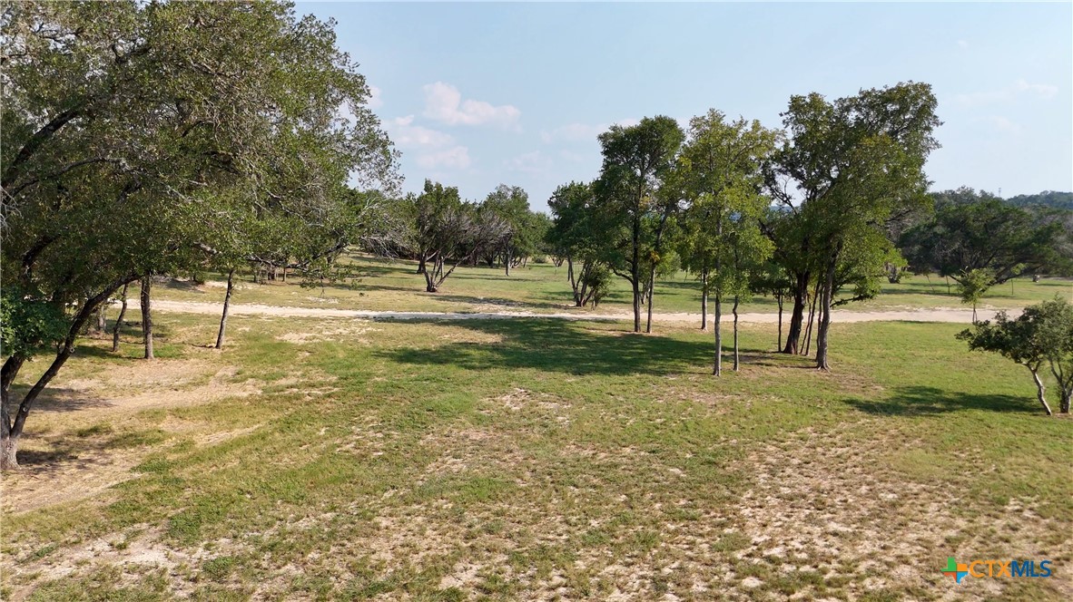 134 Stallion Estates Drive Spring Branch, TX 78070 - Photo 5 of 48 a view of yard with trees