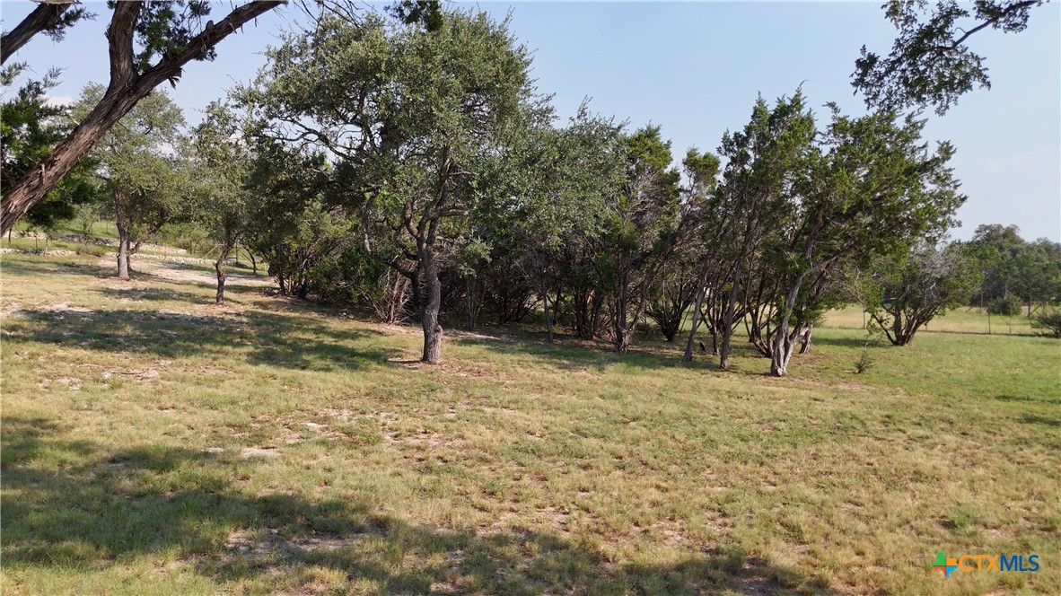 134 Stallion Estates Drive Spring Branch, TX 78070 - Photo 6 of 48 a fire hydrant in the middle of a field