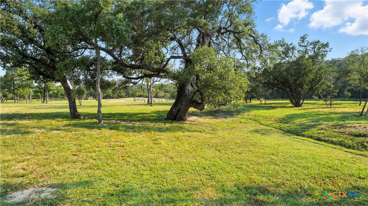 134 Stallion Estates Drive Spring Branch, TX 78070 - Photo 9 of 48 a view of a yard with a tree