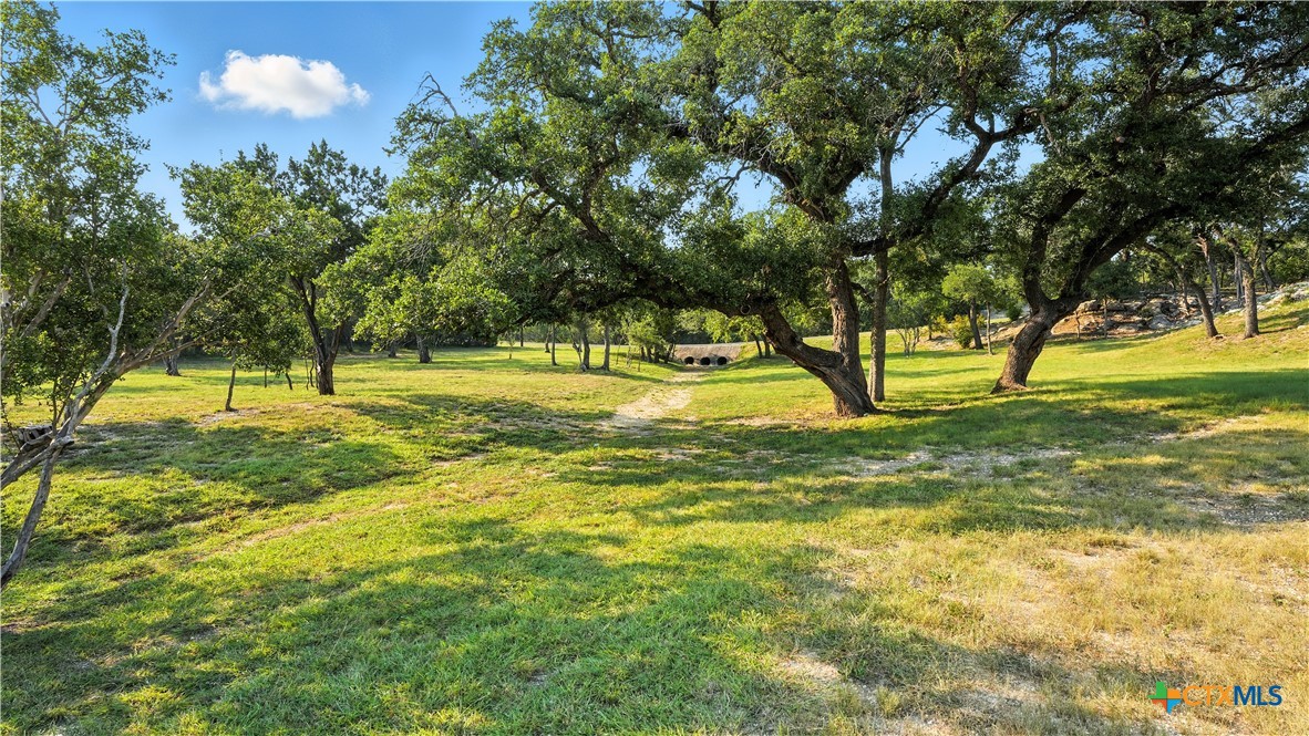 134 Stallion Estates Drive Spring Branch, TX 78070 - Photo 10 of 48 a view of an outdoor space and yard