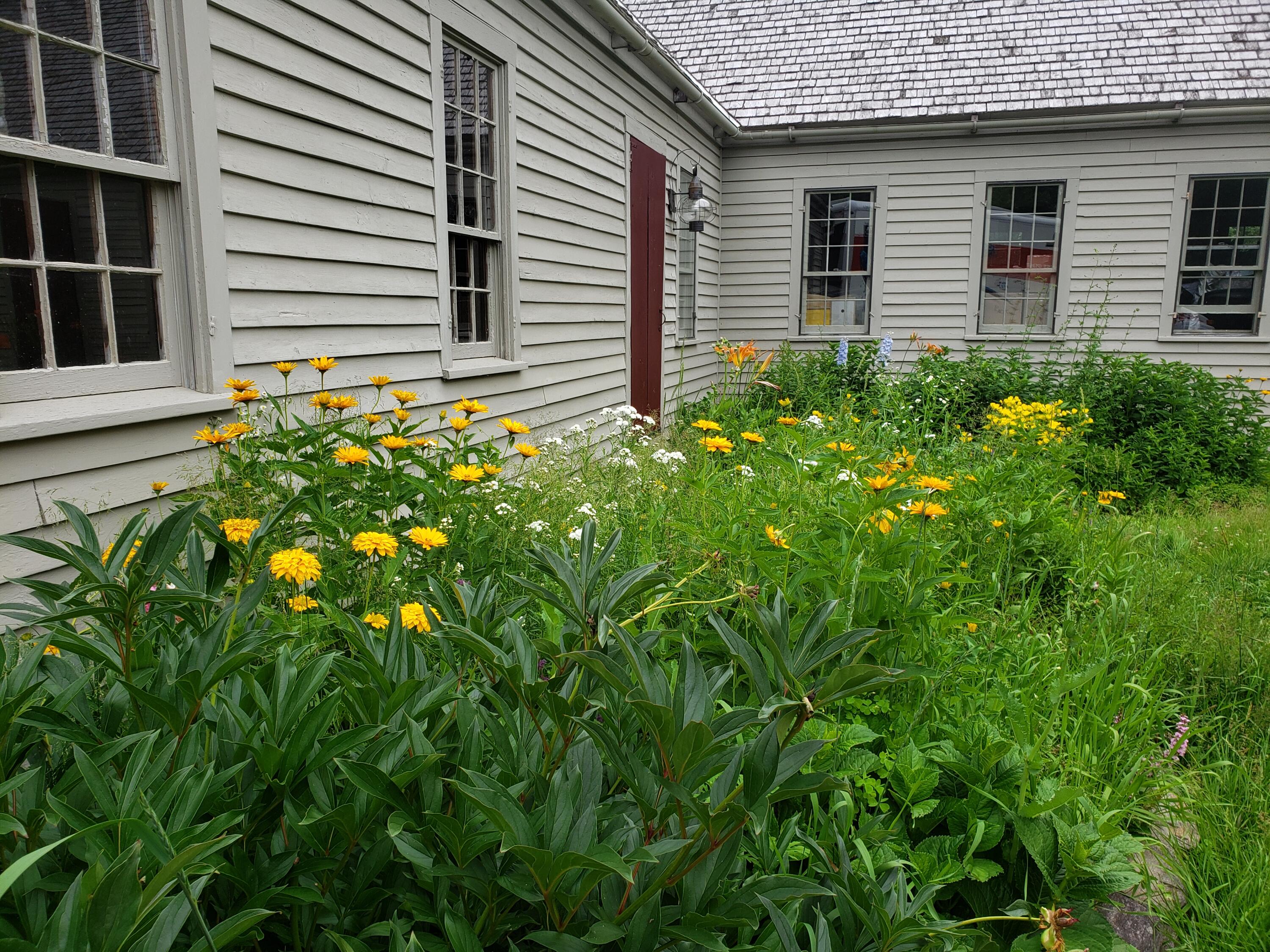 268 Hilton Road Whitefield, ME 04353 - Photo 33 of 56 20190711_174046 (1)