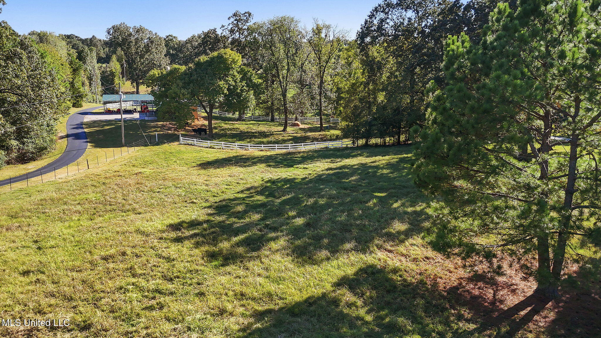 681 Gaines Road Hernando, MS 38632 - Photo 43 of 52 43-web-or-mls-681 Gaines Road-42