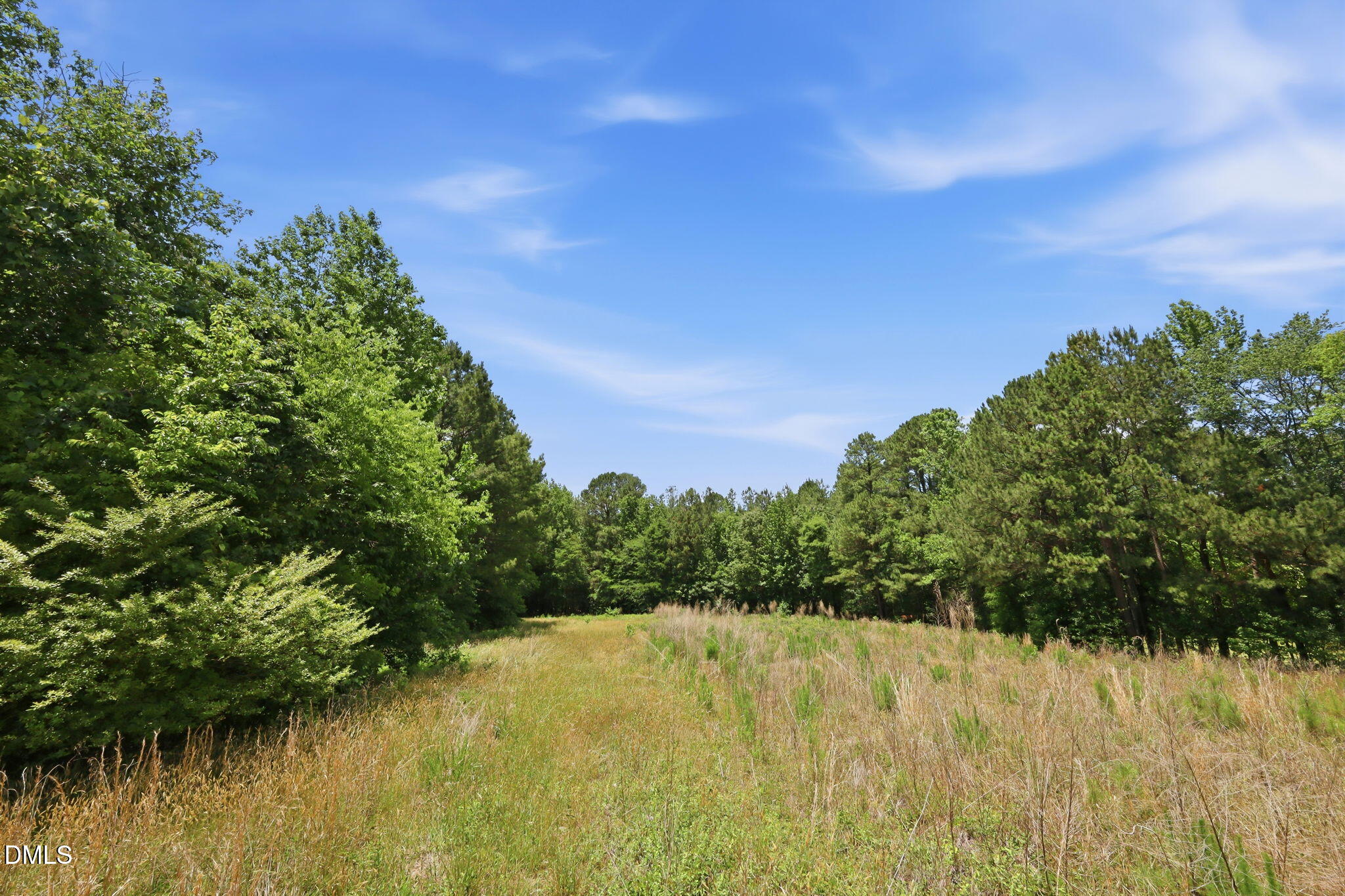 0 Pope Road Creedmoor, NC 27522 - Photo 19 of 19