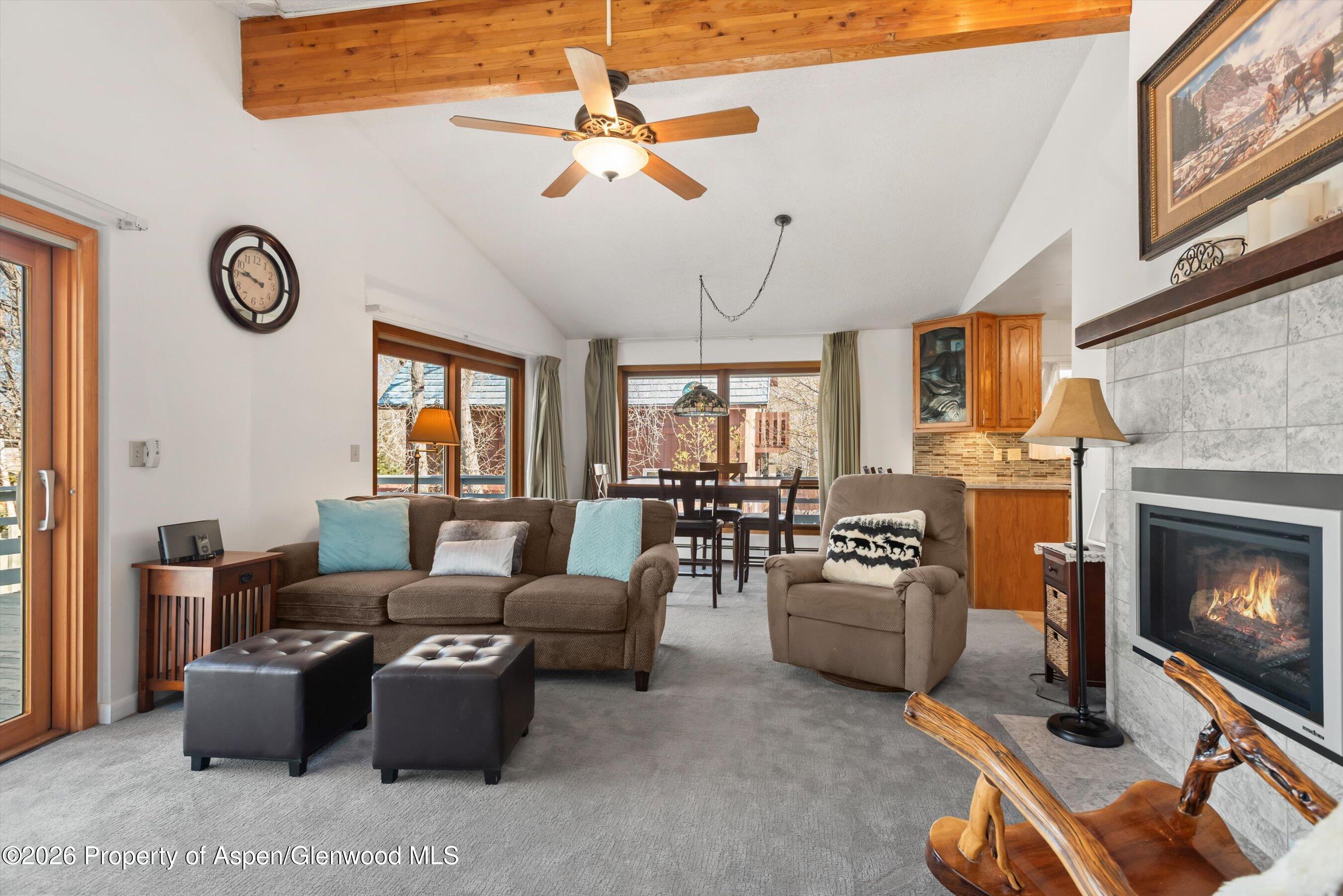 53 Spruce Street, Unit S 1 AND 2 Aspen, CO 81611 - Photo 3 of 67 02-02-534SpruceSt_250429002