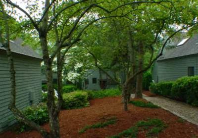 Undisclosed Address Mashpee, MA 02649 - Photo 3 of 3 a view of a backyard with large trees