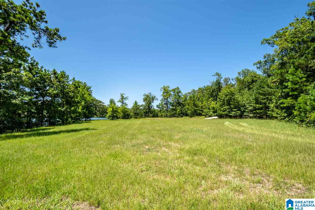827 Colleton Forest Way, Unit 20 ACRES Vincent, AL 35178 - Photo 11 of 31