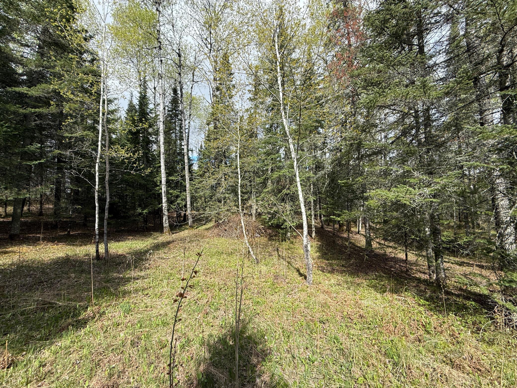 7355 West Melrude Road Cotton, MN 55724 - Photo 30 of 66