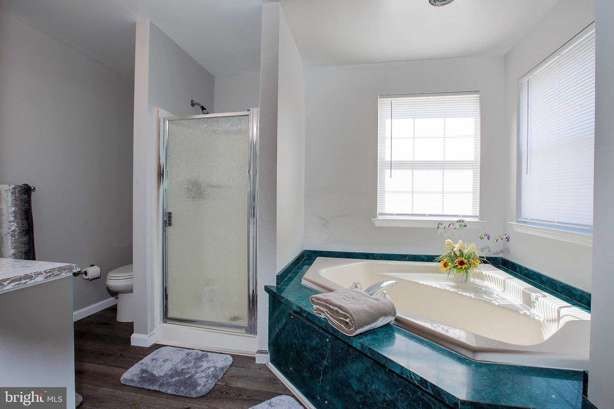 4 Hollybrook Drive Sewell, NJ 08080 - Photo 13 of 20 Master bath