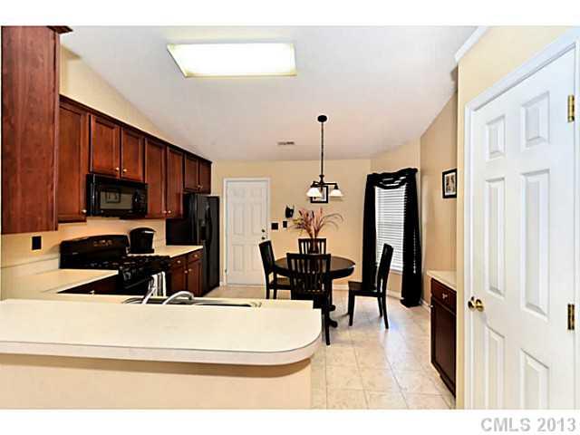 7623 Black Hawk Lane Tega Cay, SC 29708 - Photo 4 of 16 Gallery Image 4