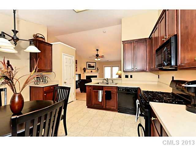 7623 Black Hawk Lane Tega Cay, SC 29708 - Photo 8 of 16 Gallery Image 8