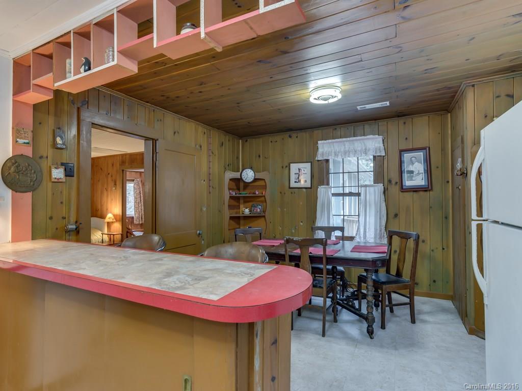 804 Pearson Falls Road Saluda, NC 28773 - Photo 3 of 19 Gallery Image 3