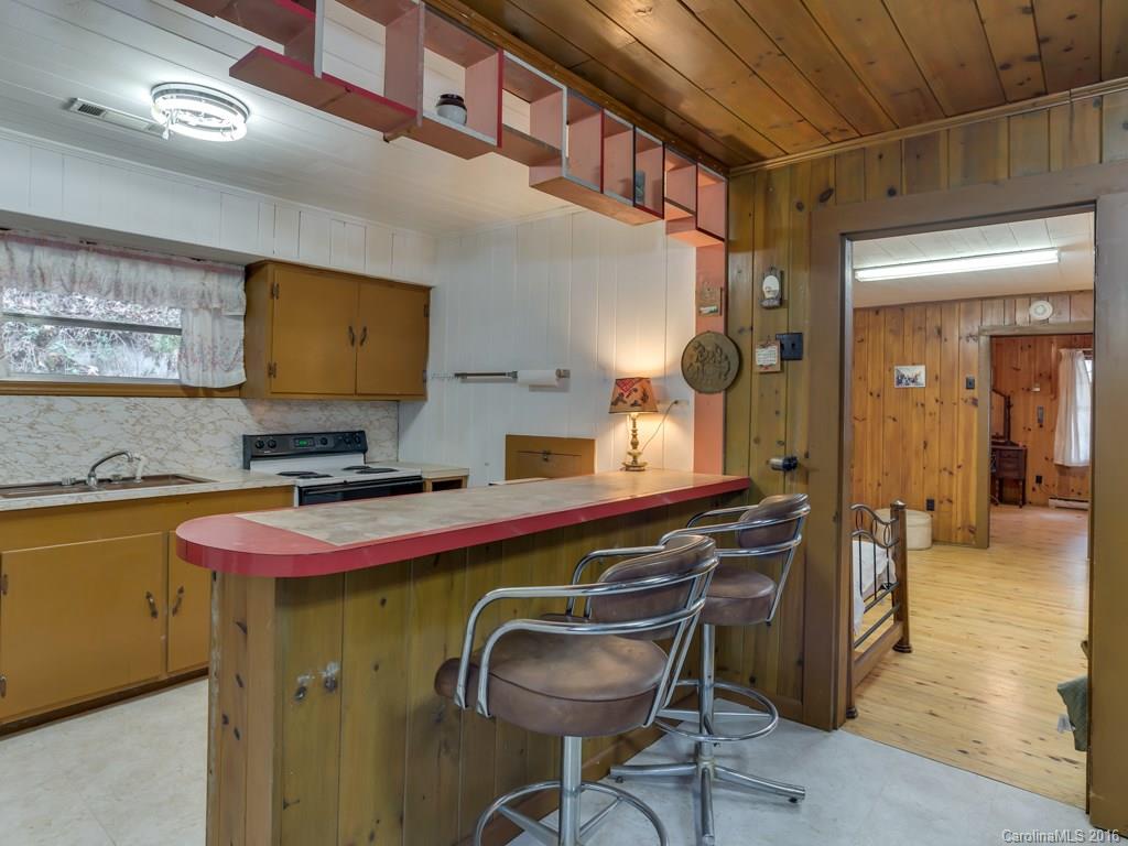 804 Pearson Falls Road Saluda, NC 28773 - Photo 5 of 19 Gallery Image 5