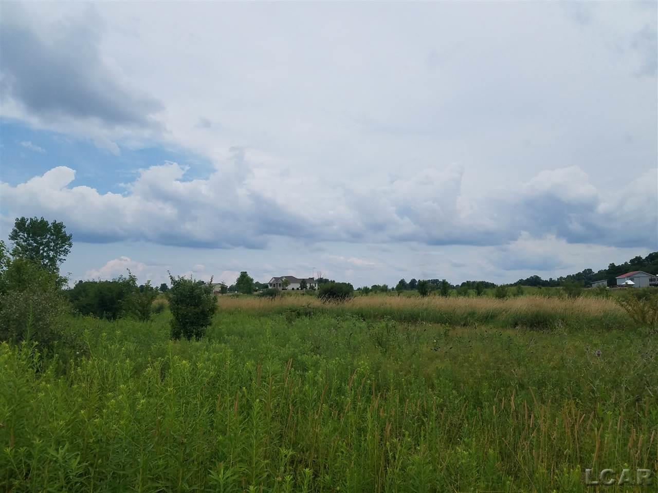 1000 Ives Road Tecumseh, MI 49286 - Photo 2 of 4