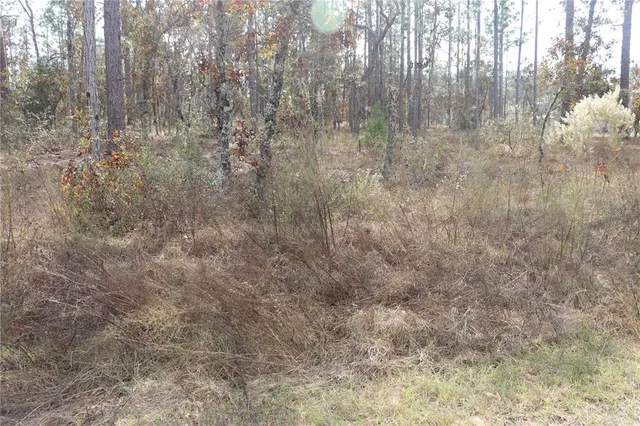 $13,900 | 0 Geranium Avenue, Dunnellon, FL 34431