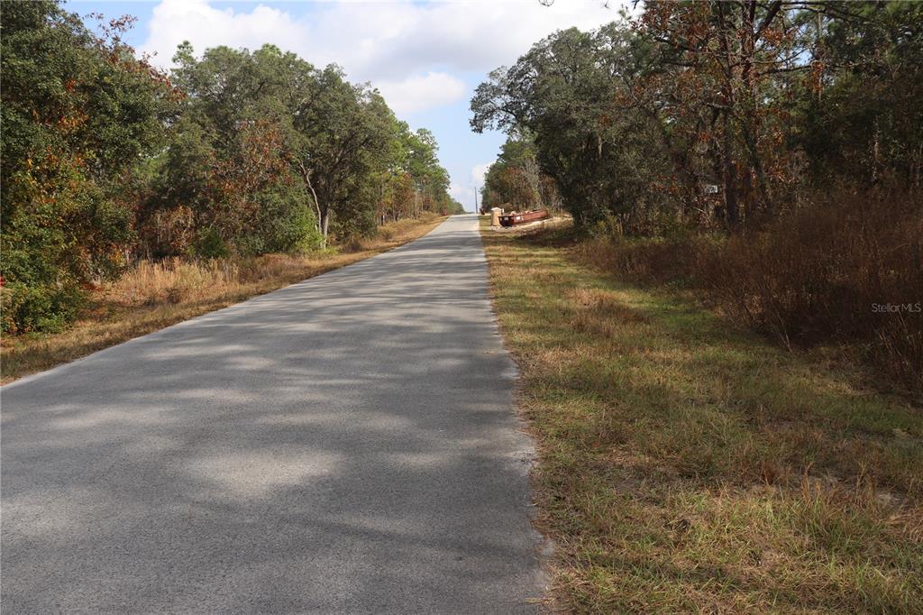 0 Geranium Avenue Dunnellon, FL 34431 - Photo 4 of 5