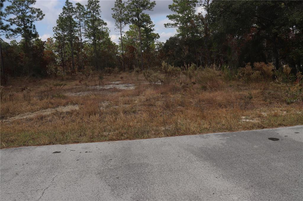 0 Geranium Avenue Dunnellon, FL 34431 - Photo 5 of 5