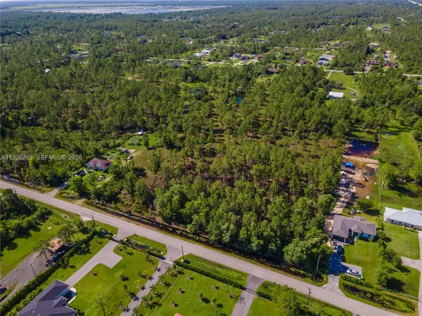 a view of a city with lush green forest