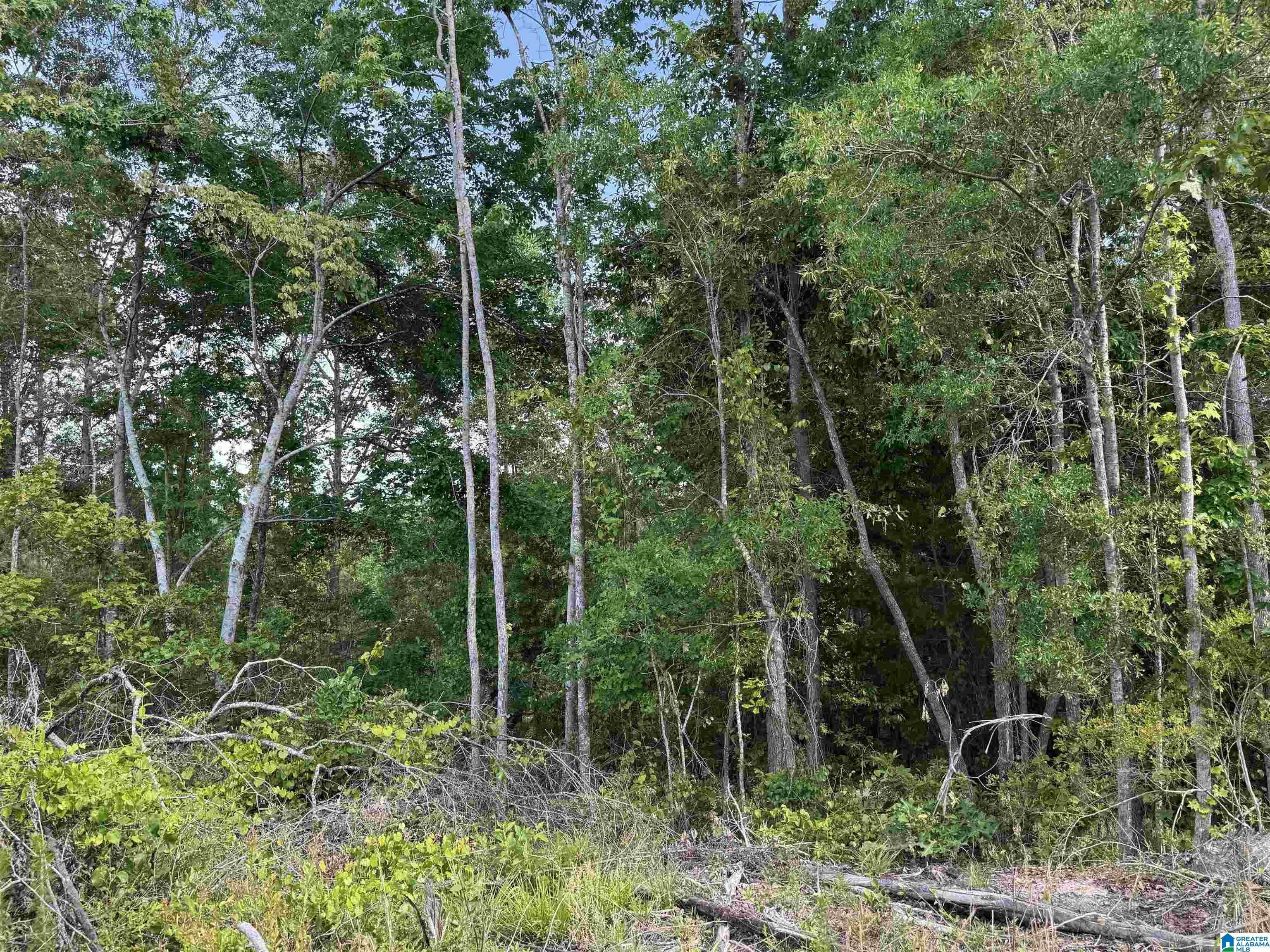 Active Road, Unit 5 Lawley, AL 36793 - Photo 19 of 38