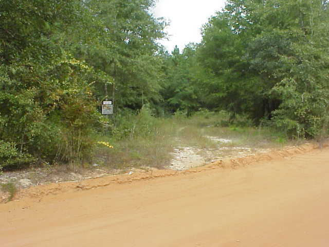 0 Gilman Road Baker, FL 32531 - Photo 1 of 1 Primary Photo