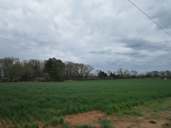 a view of a grassy field