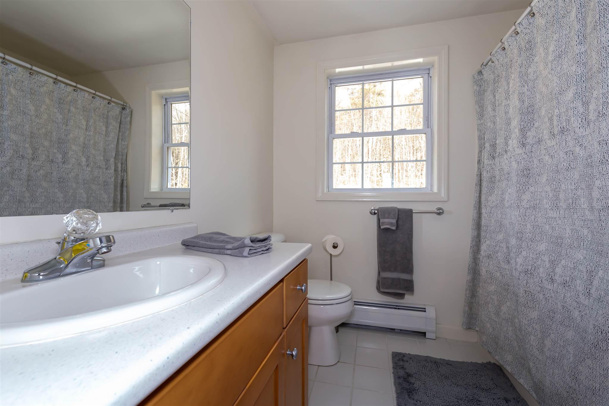 63 Tan Road Pittsfield, NH 03263 - Photo 26 of 40