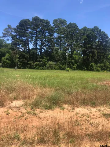 a view of a field with trees in the background